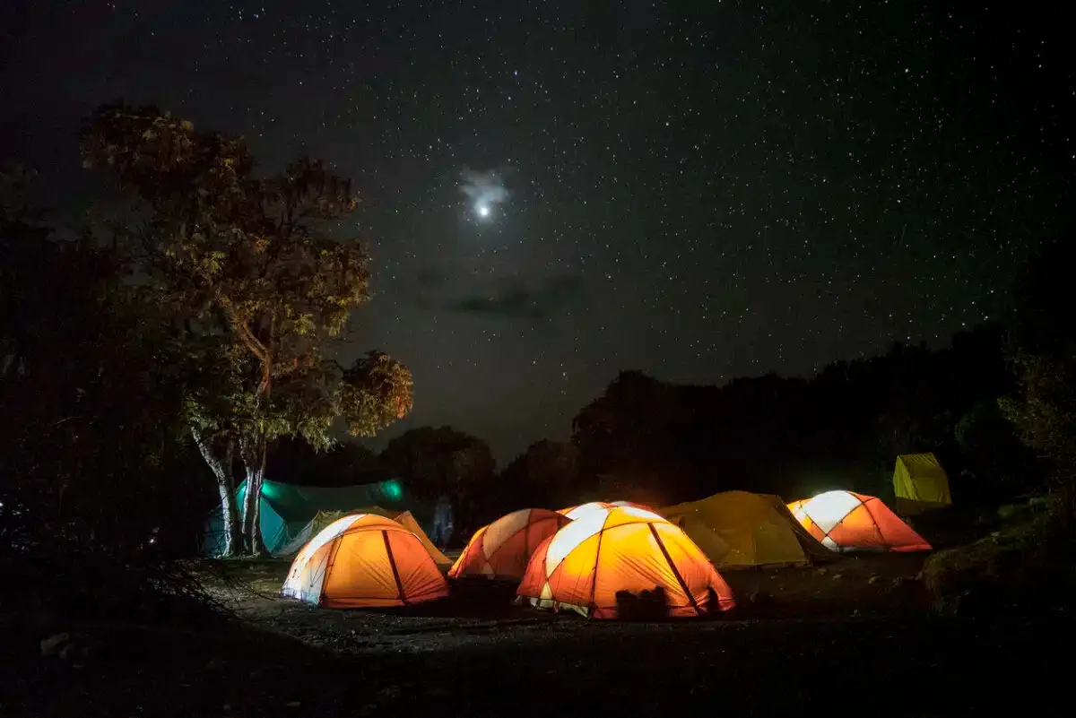 Tents of Kilimanjaro hikers on the Marangu route. Photo by jacek_Sopotnicki via iStock by Getty Images