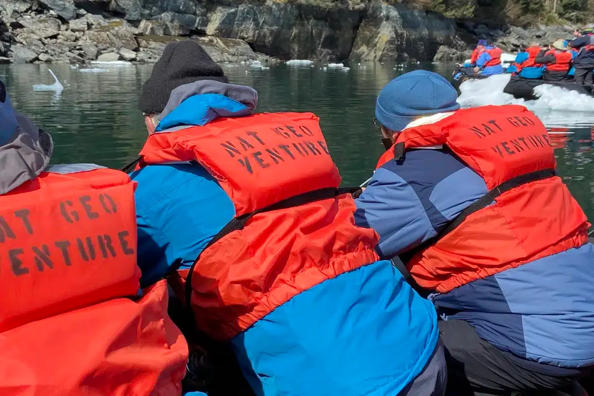 Bear Watching in Endicott Arm/