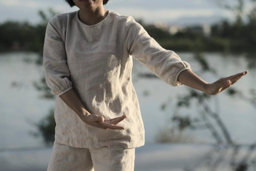 A demonstration of Dưỡng Sinh, a Vietnamese style of Tai Chi.