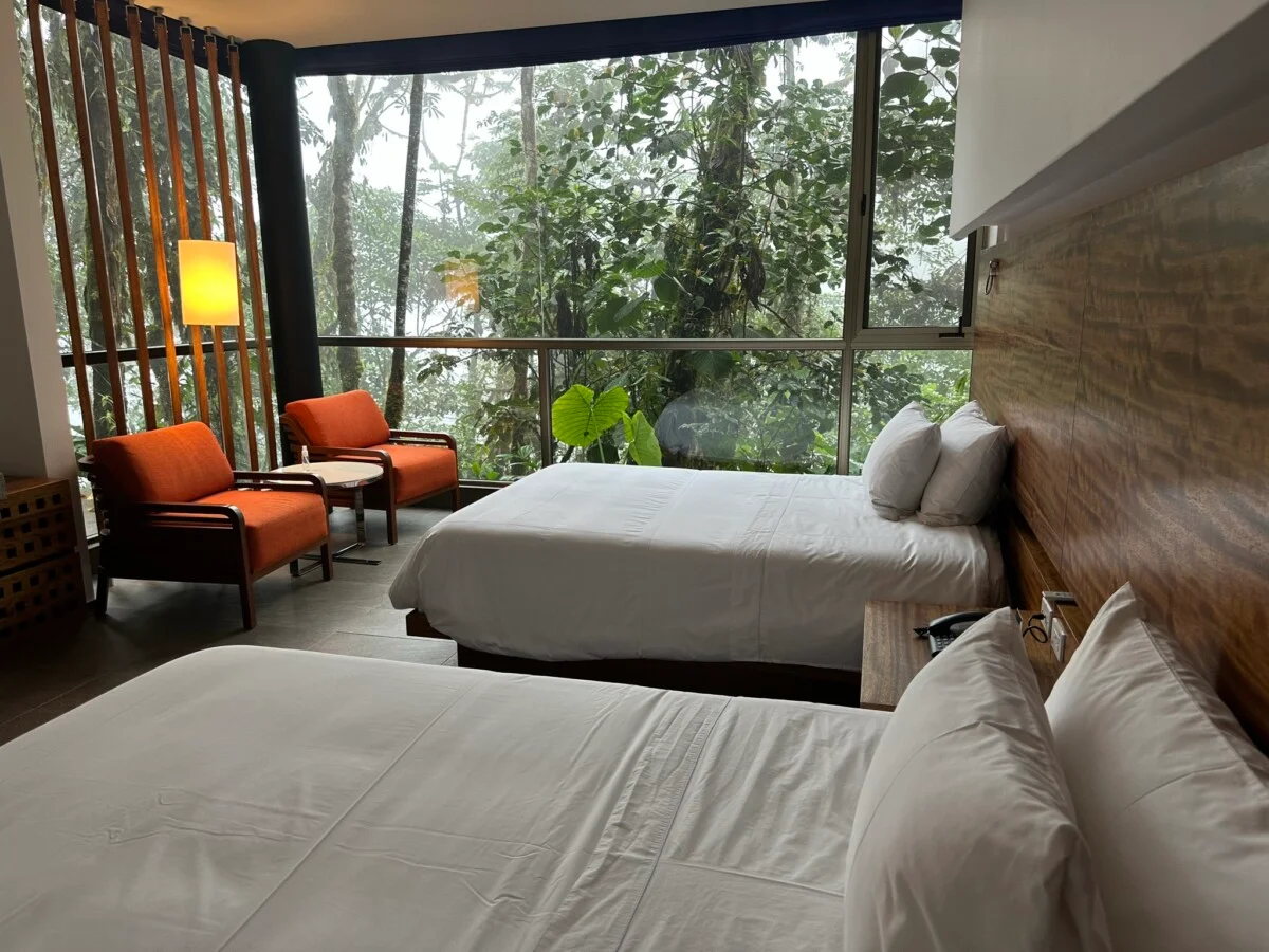 Room with a jungle view.