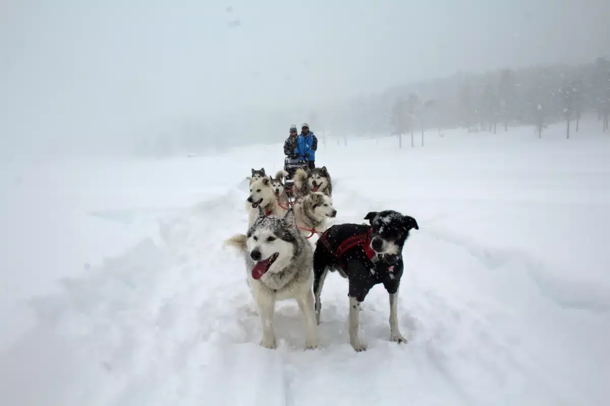 We spent about an hour on the trail.