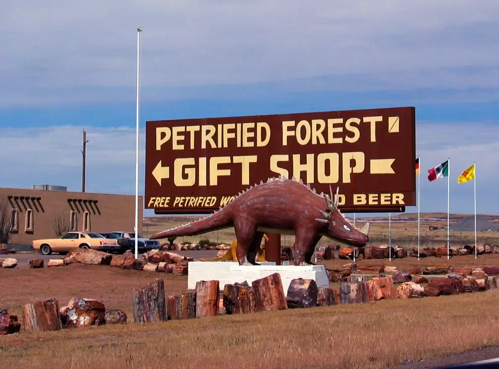 Petrified Forest Tourist Trap - Arizona Road Trip