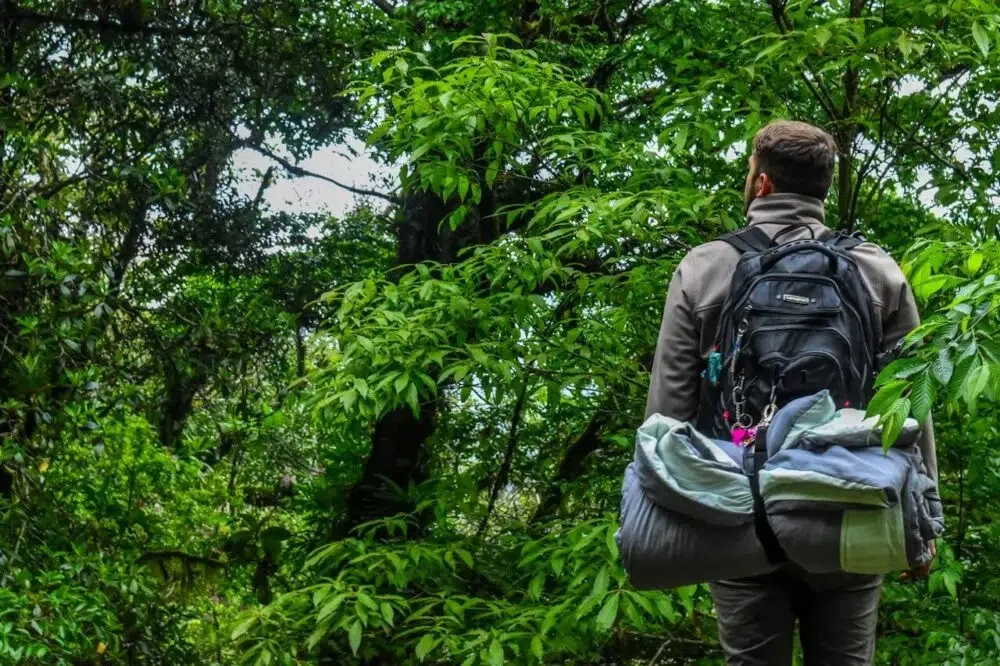 man hiking in the woods with a backpack