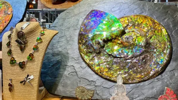 Tucson Gem Show: A World of Shopping and Sightseeing