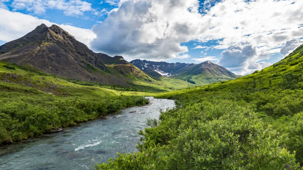 Explore Exciting Summer Activities Near Anchorage, Alaska