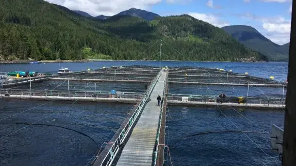 An Adventure with British Columbia’s First Nations People
