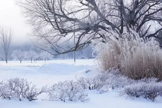 Beautiful Winter Camping Locations in the US