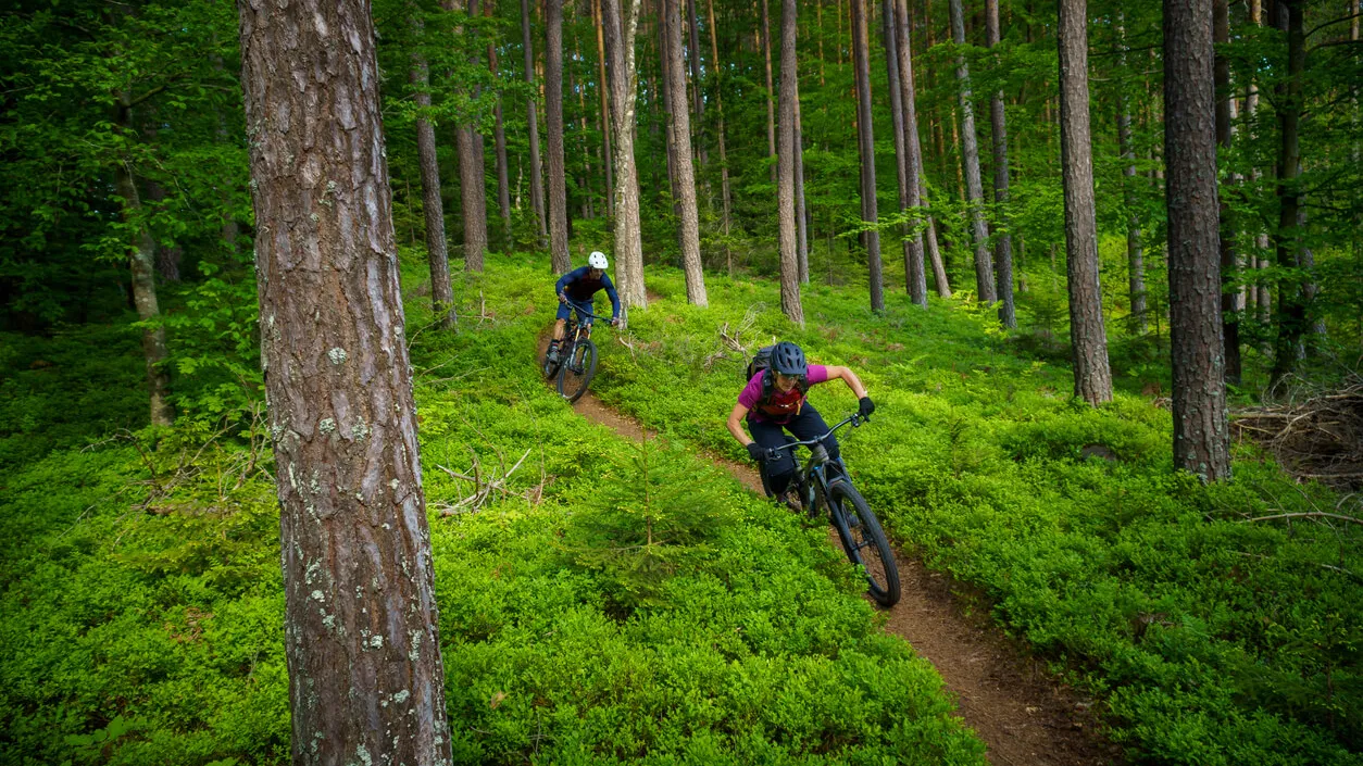 Conquering the Trails: Your Essential Guide to Mountain Biking
