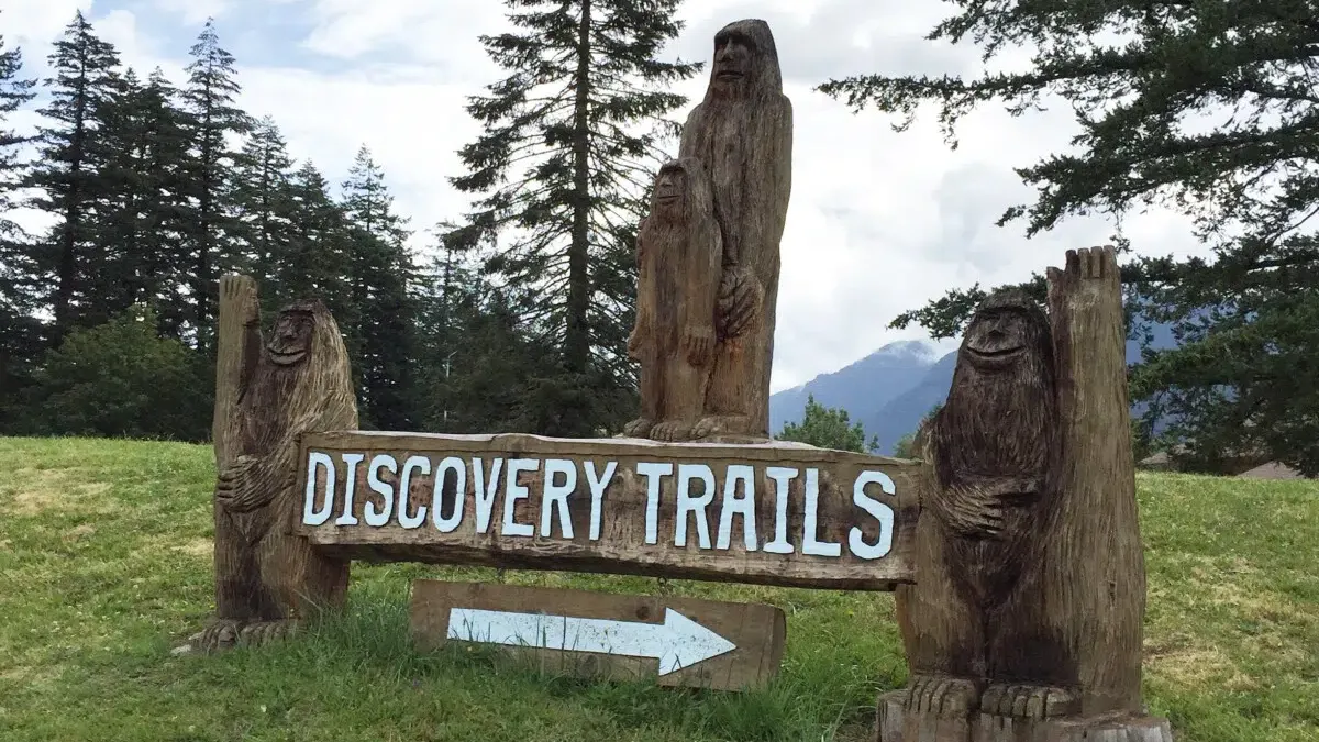 Columbia River Gorge Washington: Road Trip on the Less-Traveled Side