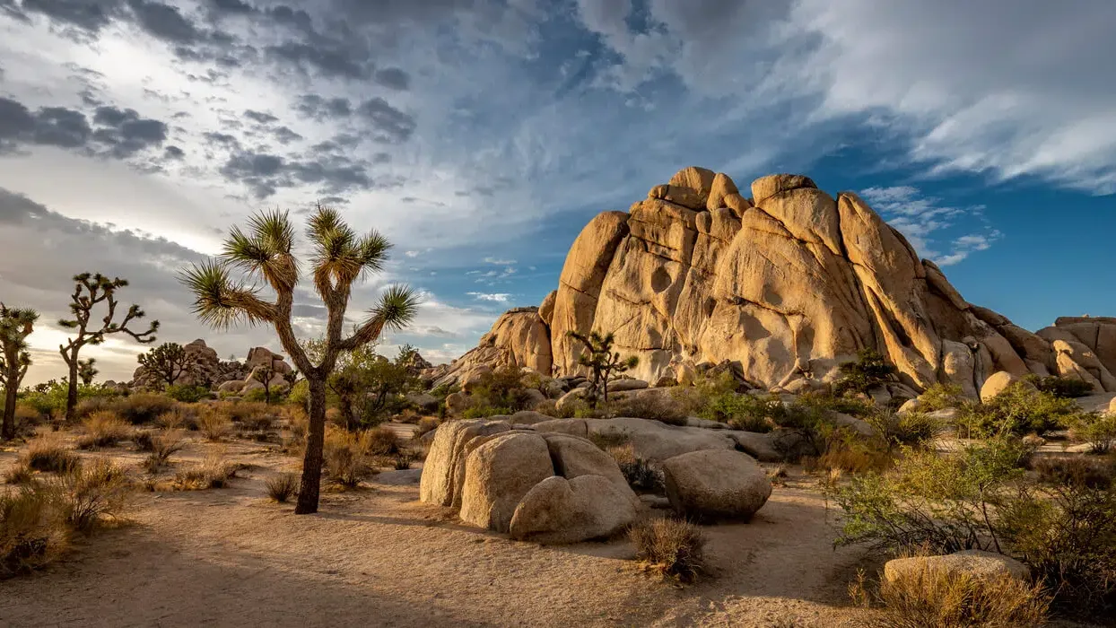 Discover the 5 Best Spots for Camping in the US