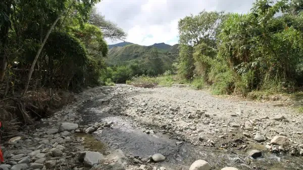 Discovering the Ideal Wellness Retreat in Ecuador