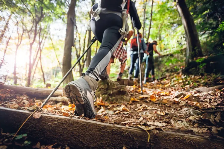 The Ultimate Guide to Staying Safe While Hiking