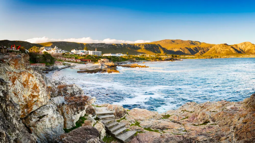 Travel to South Africa and Discover a Wild and Wonderful Destination