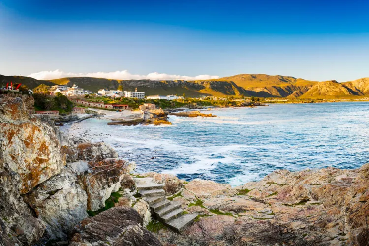 Travel to South Africa and Discover a Wild and Wonderful Destination