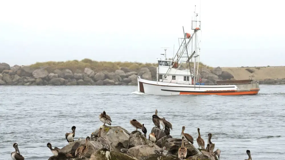 Explore Hidden Coastal Gems and Fishing Along the Pacific Coast