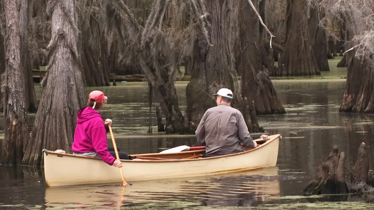 Adventure Camping At Caddo Lake, Texas