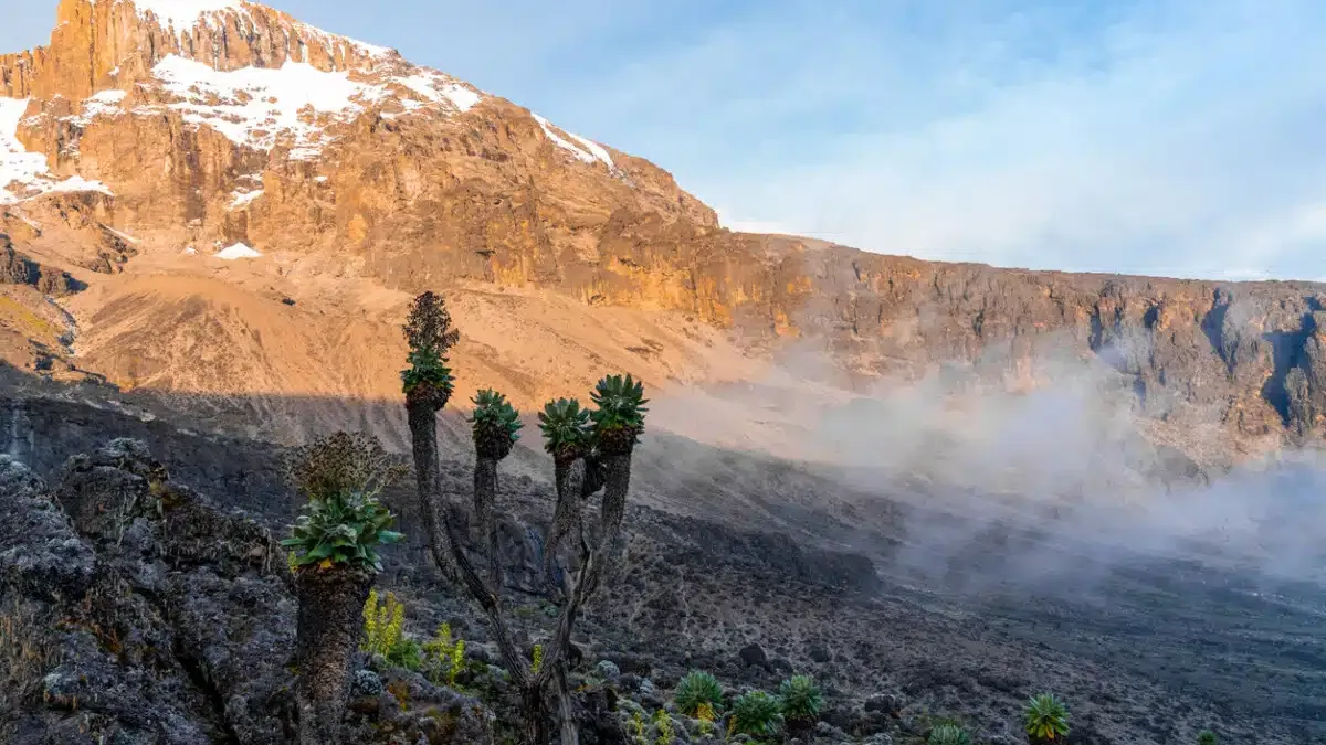 Discover Mount Kilimanjaro: Routes, Costs, and Booking