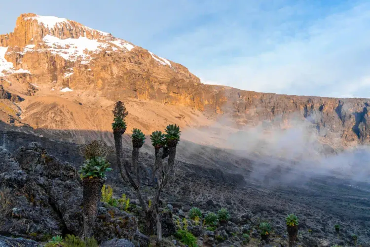 Discover Mount Kilimanjaro: Routes, Costs, and Booking