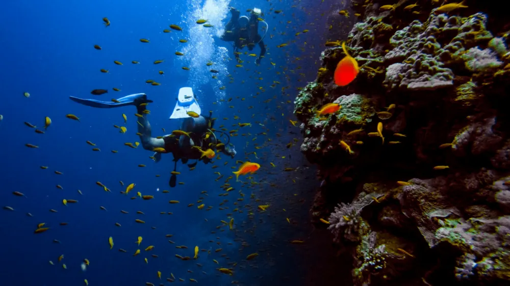 9 Best Places for Scuba Diving in the USA