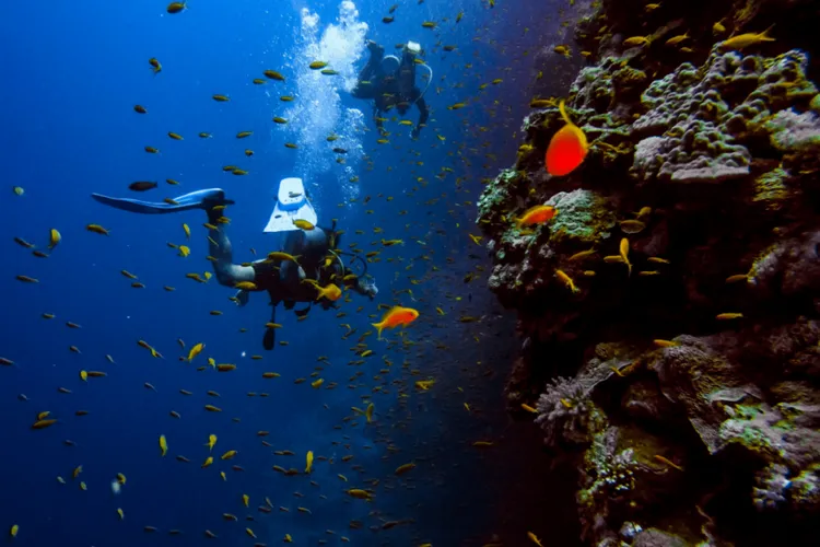9 Best Places for Scuba Diving in the USA