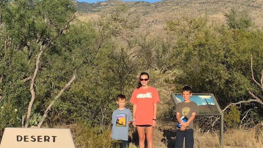 Top Things to Do in Saguaro National Park