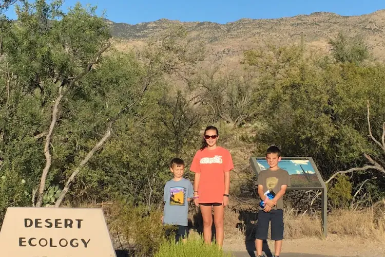 Top Things to Do in Saguaro National Park