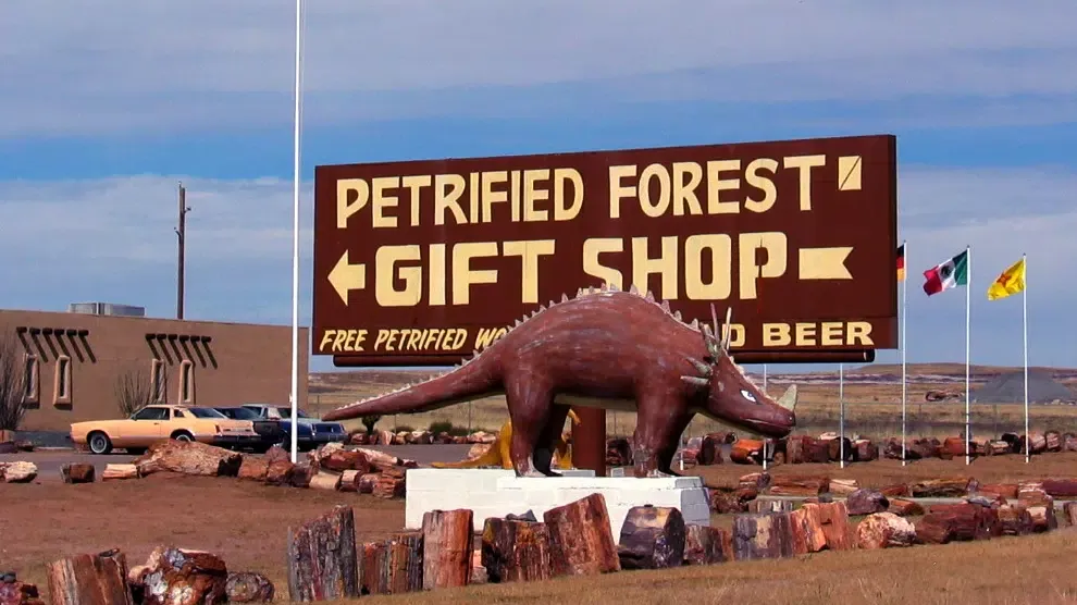 Petrified Forest and Painted Desert: Amazing Arizona Road Trip Destination