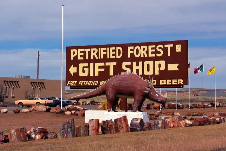 Petrified Forest and Painted Desert: Amazing Arizona Road Trip Destination