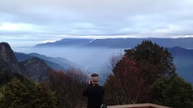 The Ultimate Guide to Alishan National Scenic Area in Taiwan