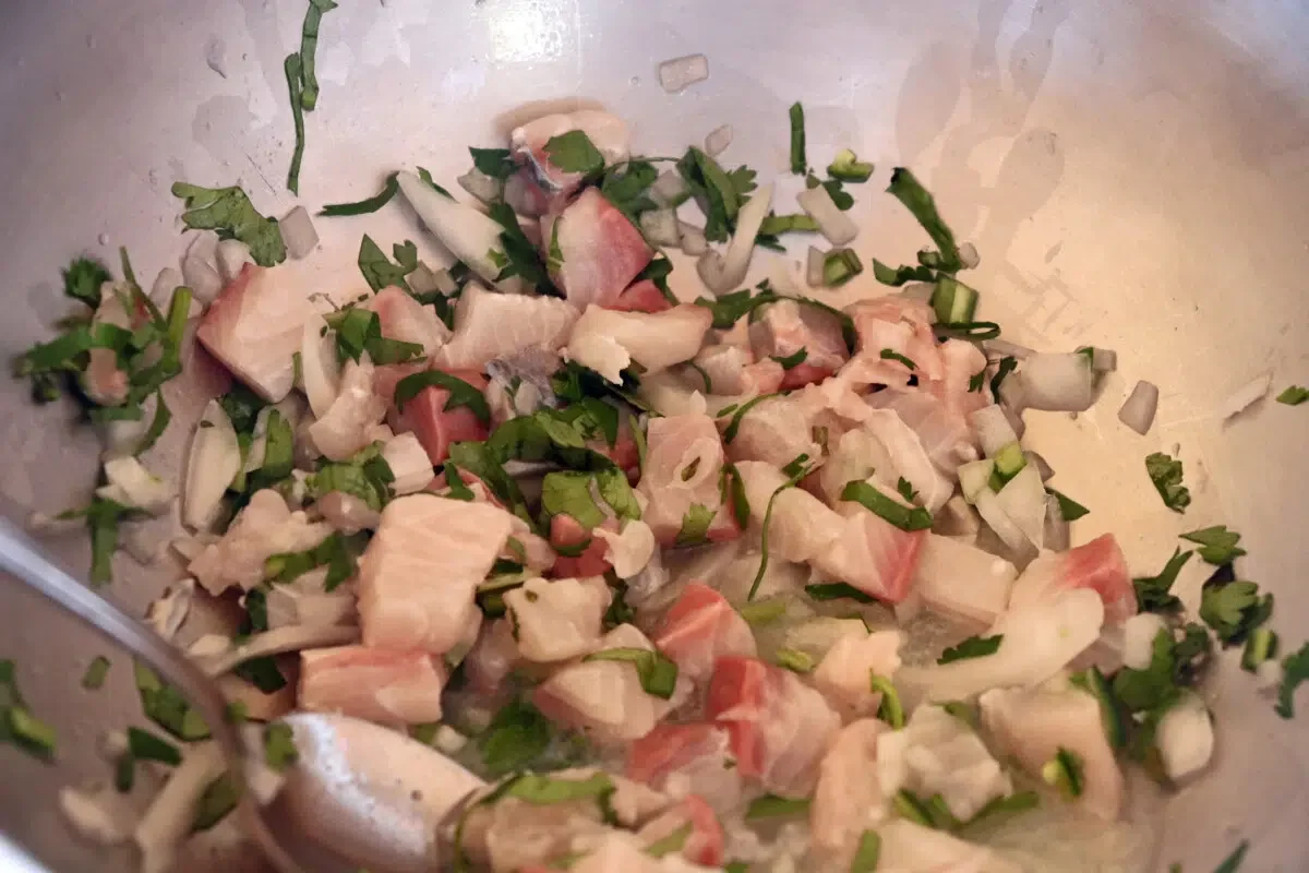 Ceviche san blas