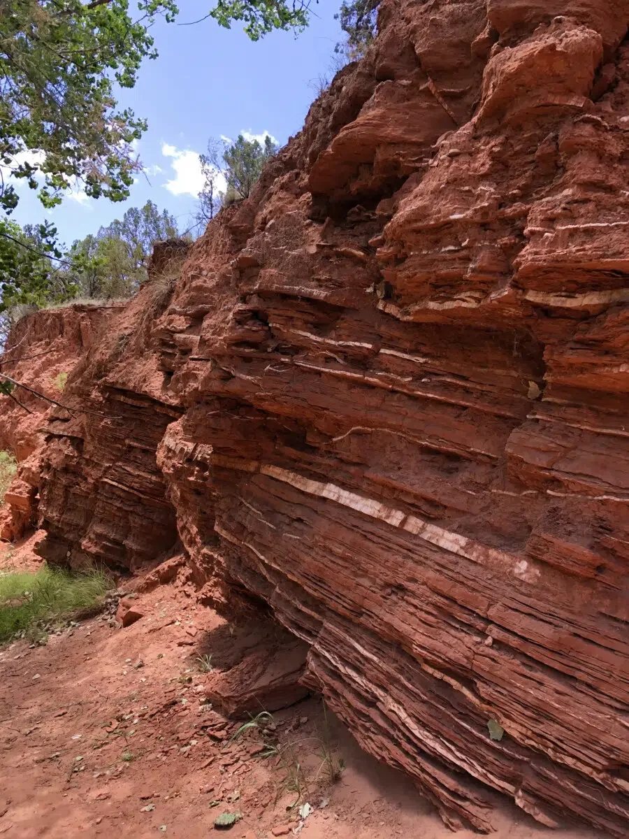 Best Texas State Park Lodges and Cabins