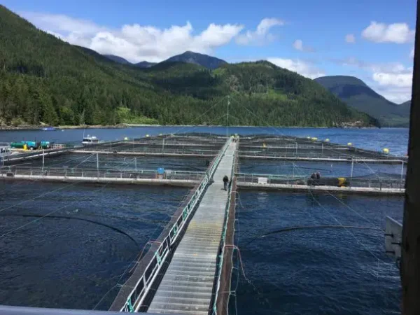 British Columbia's First Nations people