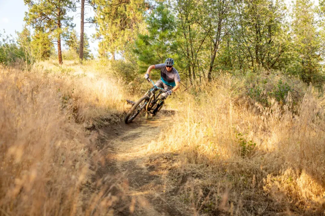 E-mountain biking with Zack's Bikes