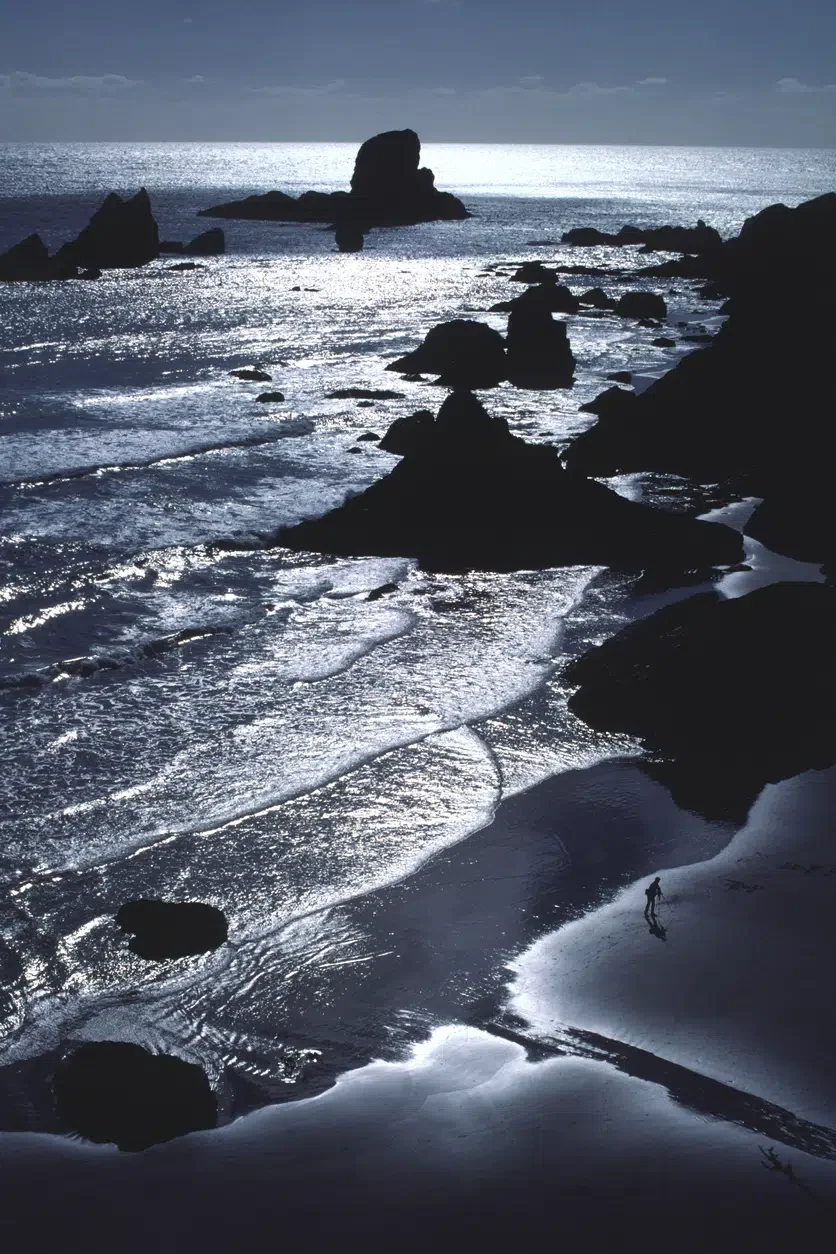 Best Hiking Trails in the US