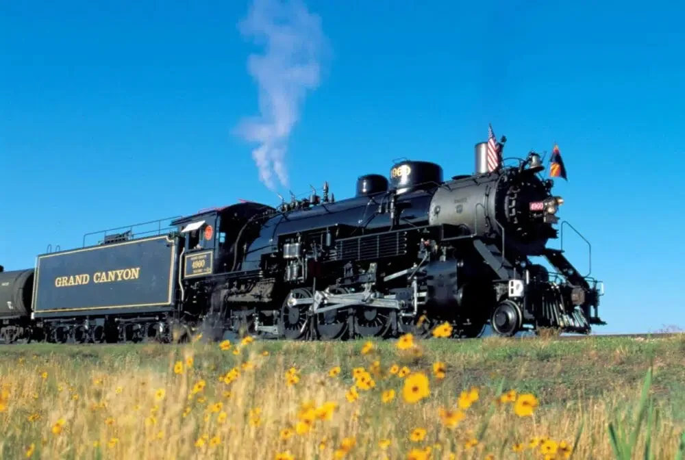 grand canyon train engine with yellow flowers