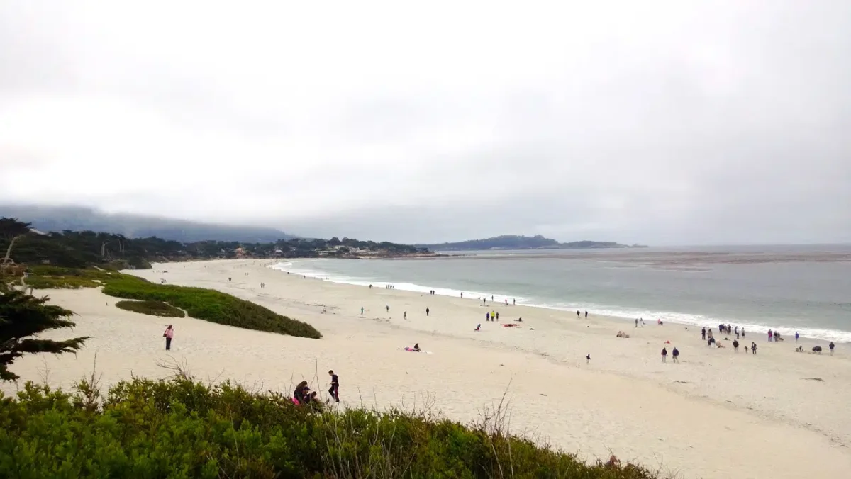 Best Things To Do In Northern California