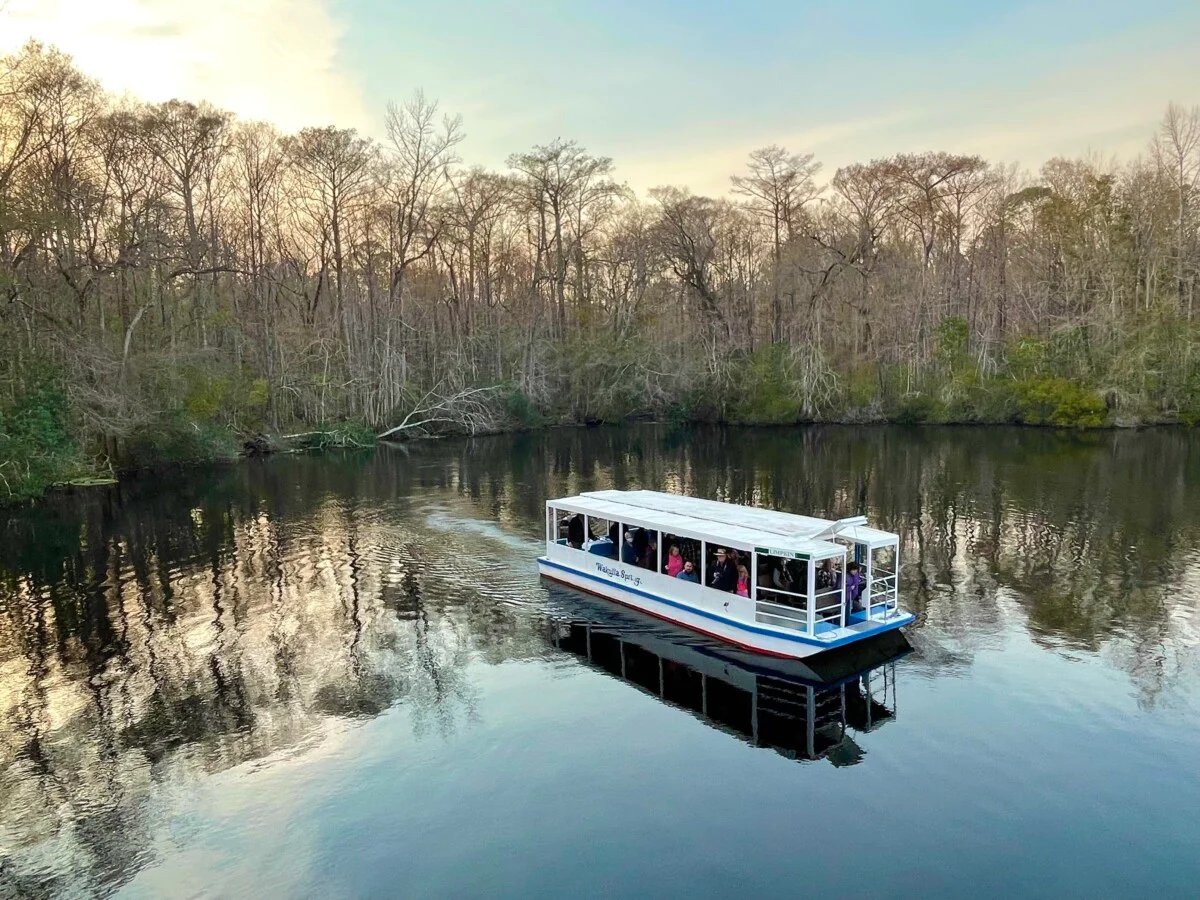 Hop onboard the Jungle Boat Cruise at Wakulla Springs. Photo by Jobi Bridgers Cook