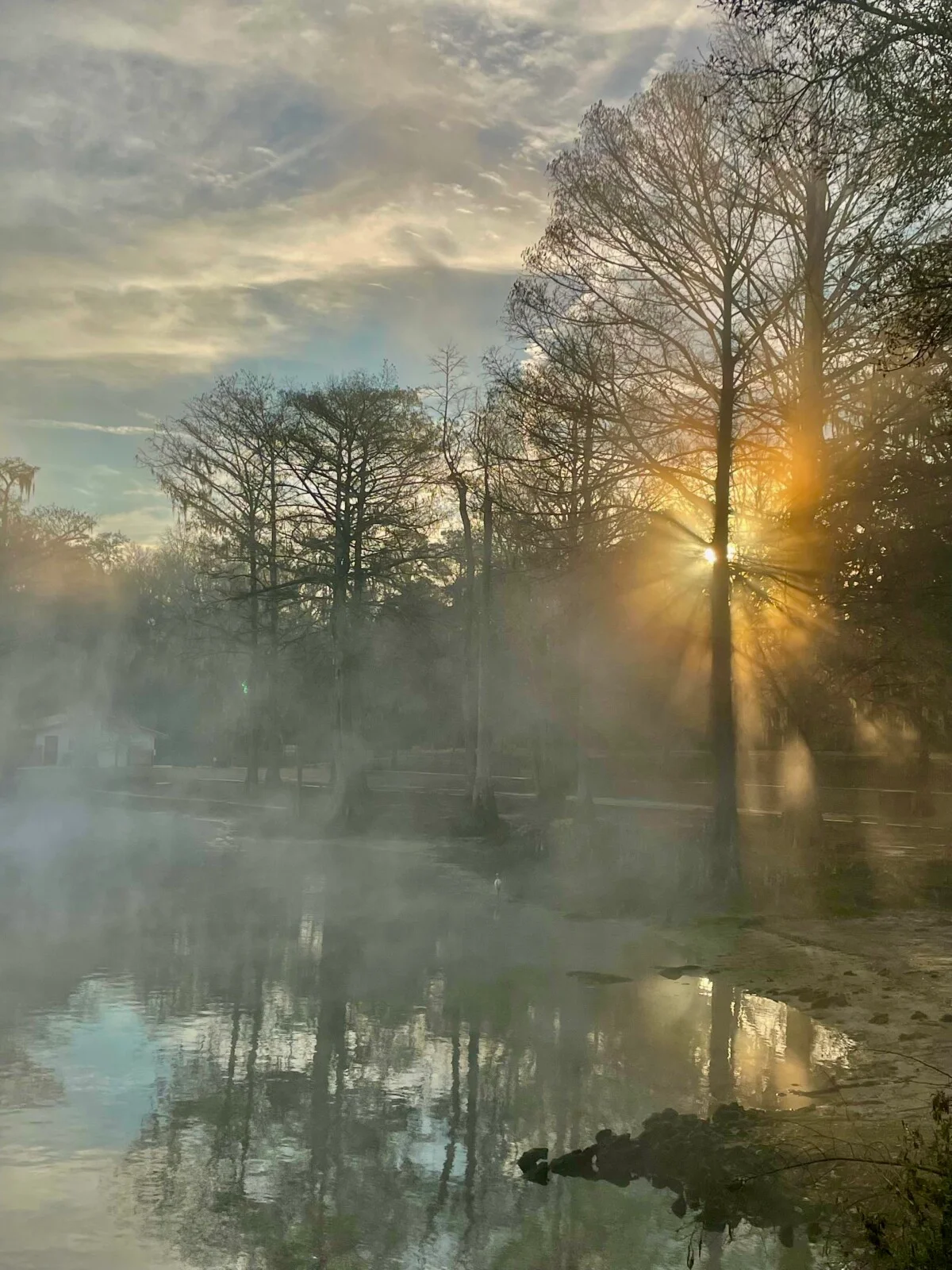 Wakulla Springs State Park in Florida. Photo by Jobi Bridgers Cook