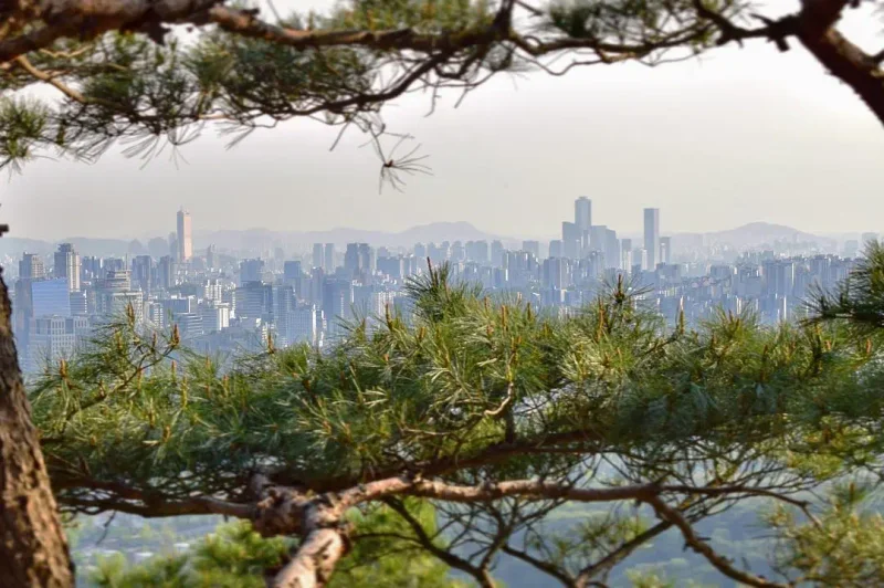 Secrets of Seoul and Why You Should Visit