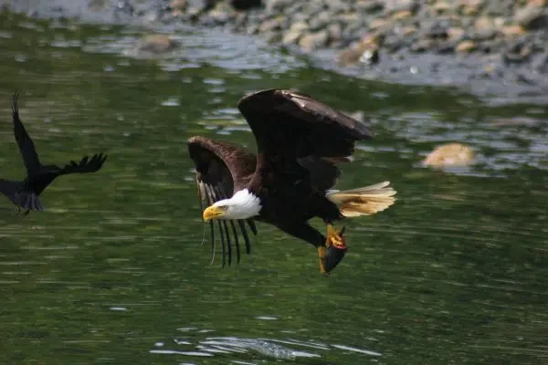 British Columbia's First Nations People