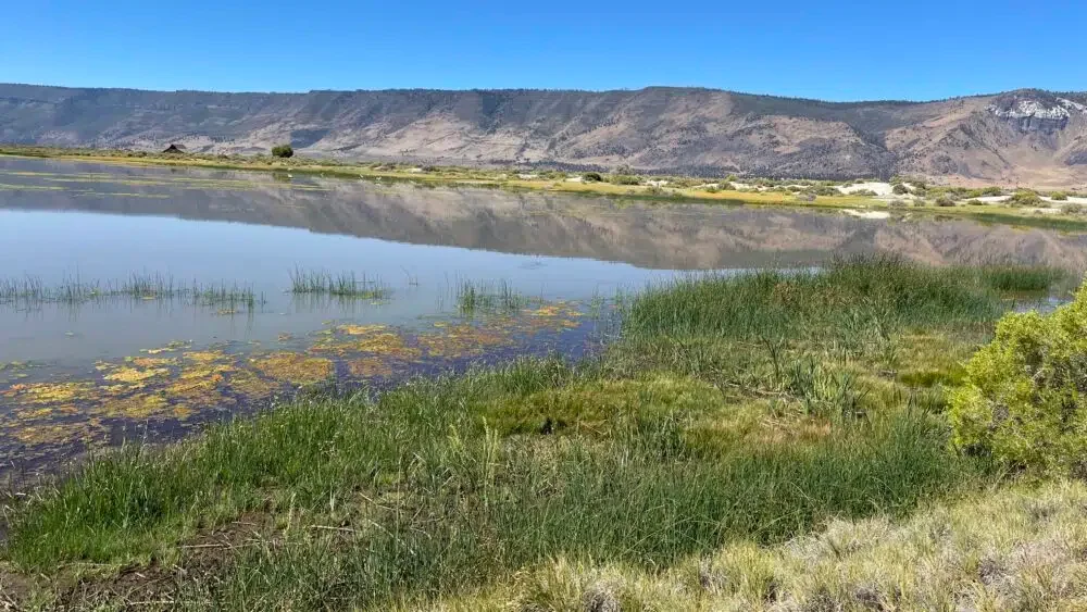 Summer Lake Wildlife Refuge View Loop. Photo by Carl Giavanti