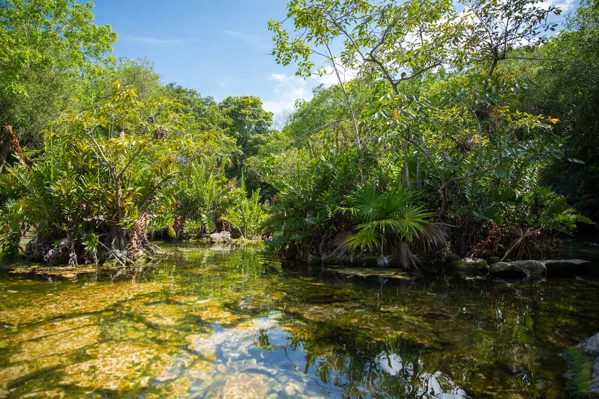 Cenotes in Mexico
