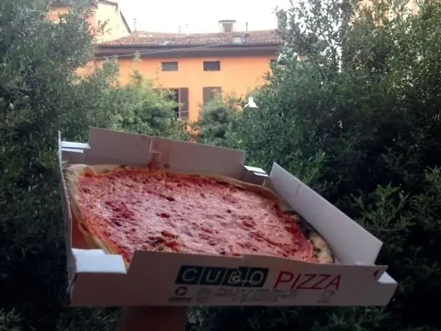Bologna pizza