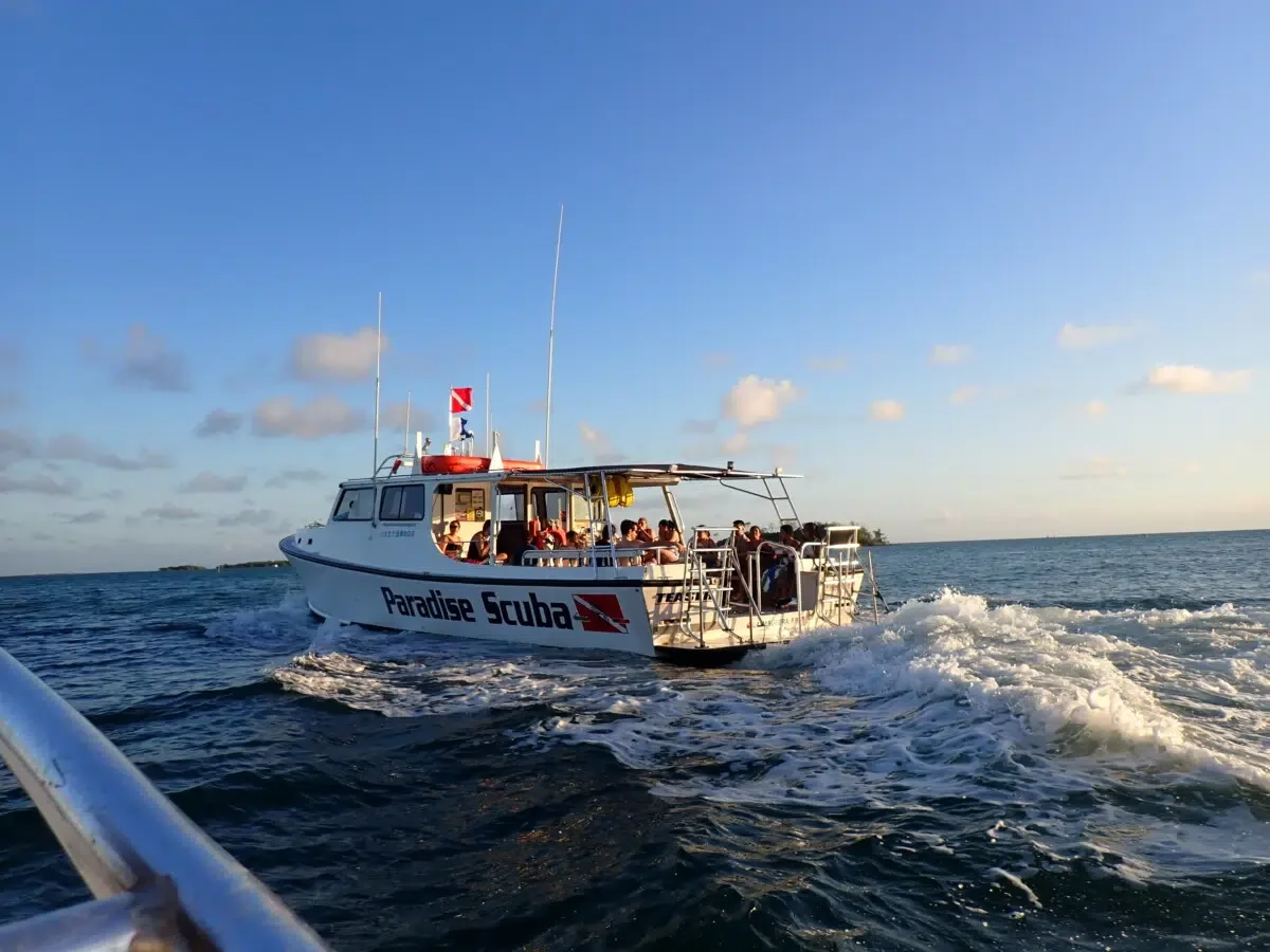 Boats headed to the bio bays in Puerto Rico.