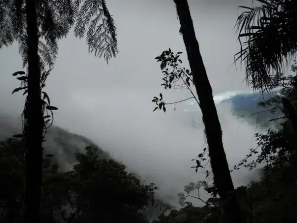 Andean Mountains peeking through the fog in Tapichalaca Reserve near Hostería Izhcayluma—a wellness retreat in Ecuador. Photo by Vickie Lillo