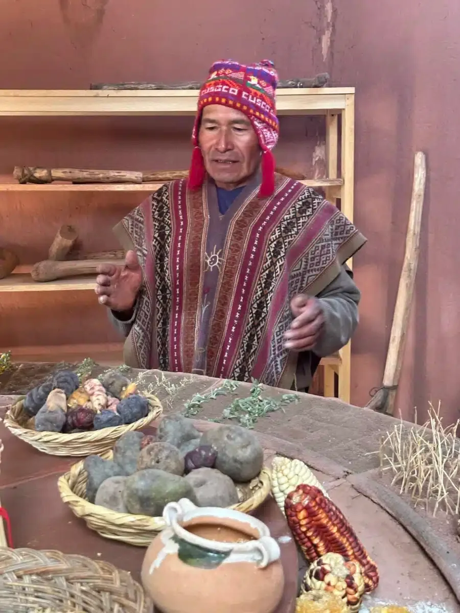 Huayllafara Segundino