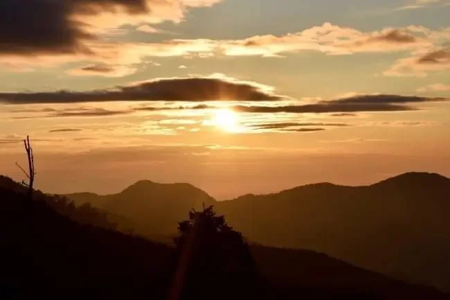 Sunrise: Things to Do in Alishan