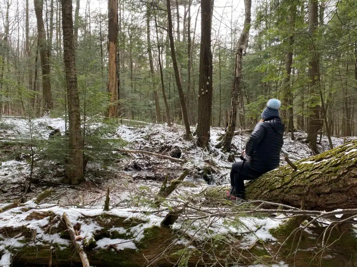 Pausing for a mindfulness exercise.