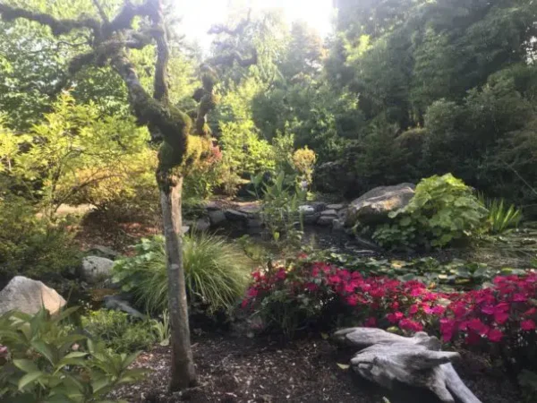 The grounds of Highline SeaTac Botanical Garden south of Seattle